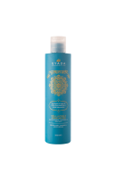 Ayurvedic Revitalizing Shampoo